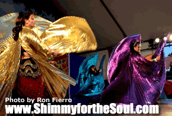 shimmy for the soul bellydance